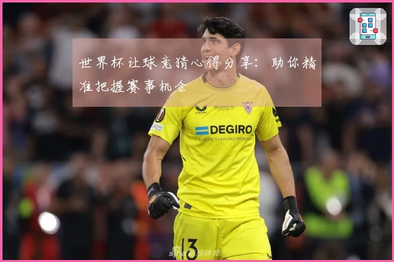 世界杯让球竞猜心得分享：助你精准把握赛事机会