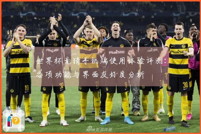 世界杯竞猜手机端使用体验评测：各项功能与界面友好度分析