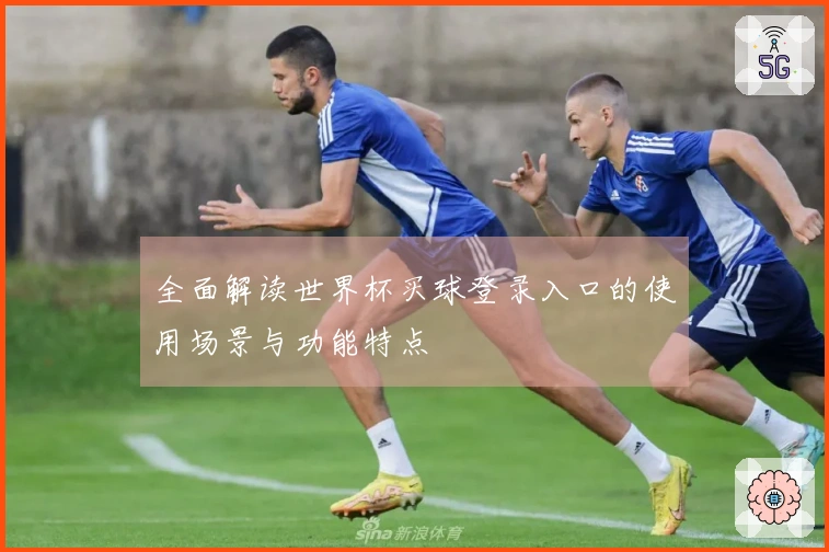 全面解读世界杯买球登录入口的使用场景与功能特点