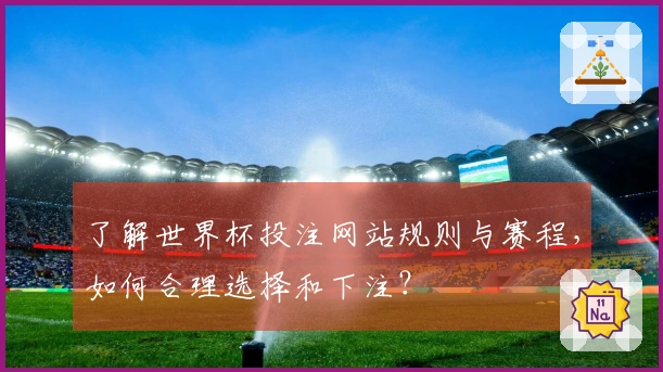 了解世界杯投注网站规则与赛程，如何合理选择和下注？