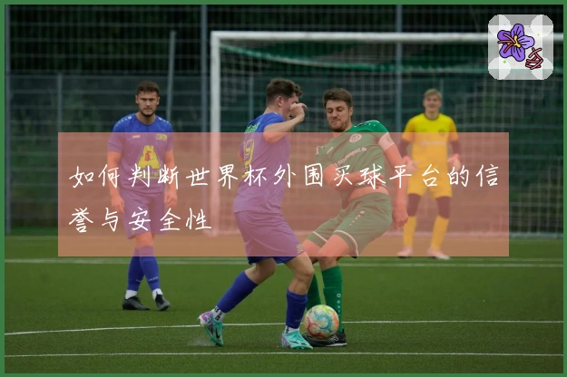 如何判断世界杯外围买球平台的信誉与安全性