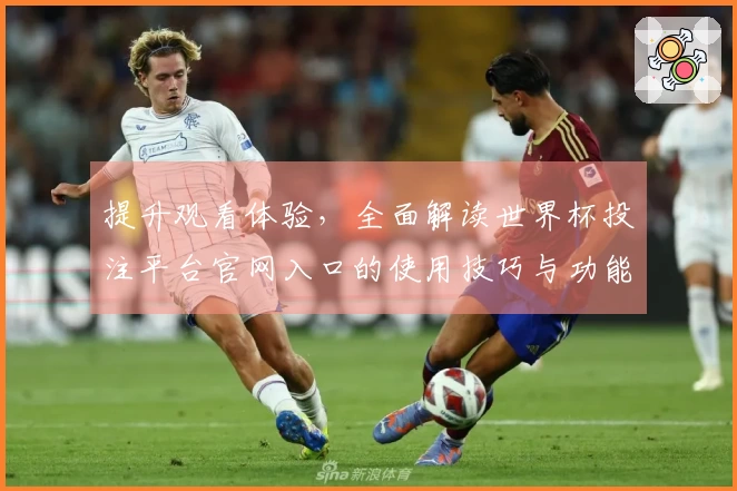 提升观看体验，全面解读世界杯投注平台官网入口的使用技巧与功能介绍