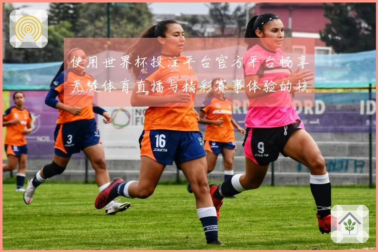 使用世界杯投注平台官方平台畅享无缝体育直播与精彩赛事体验的核心功能解析