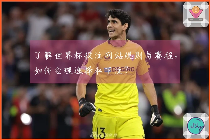 了解世界杯投注网站规则与赛程，如何合理选择和下注？