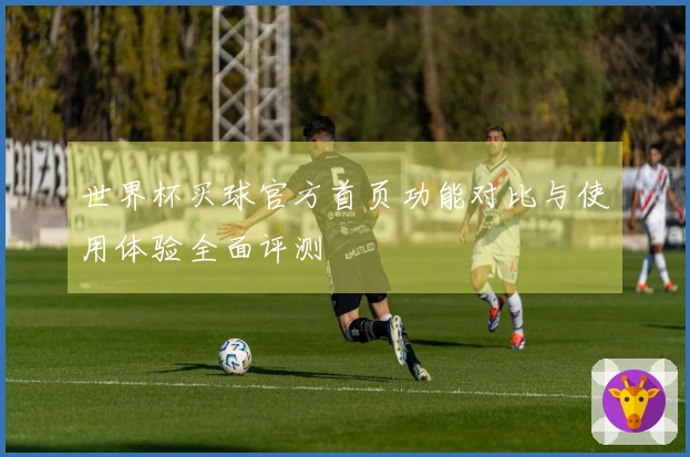 世界杯买球官方首页功能对比与使用体验全面评测