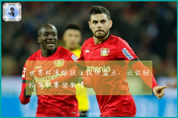 世界杯滚球投注技巧盘点，让你轻松驾驭赛场激情