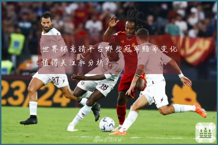 世界杯竞猜平台哪些冠军赔率变化值得关注和分析？