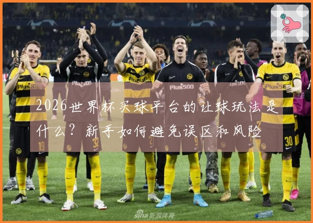 2026世界杯买球平台的让球玩法是什么？新手如何避免误区和风险