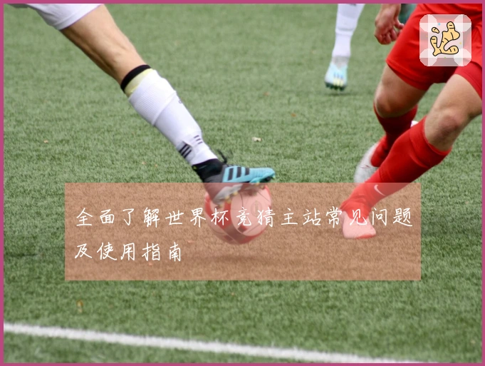 全面了解世界杯竞猜主站常见问题及使用指南