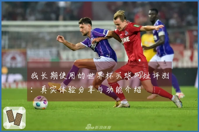 我长期使用的世界杯买球网址评测：真实体验分享与功能介绍