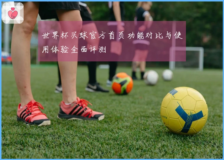 世界杯买球官方首页功能对比与使用体验全面评测