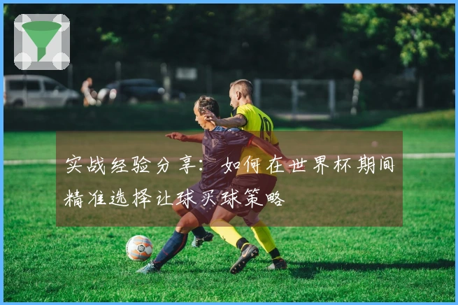 实战经验分享：如何在世界杯期间精准选择让球买球策略