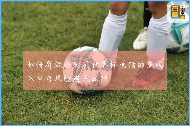 如何有效识别买世界杯竞猜的正规入口与风险避免技巧