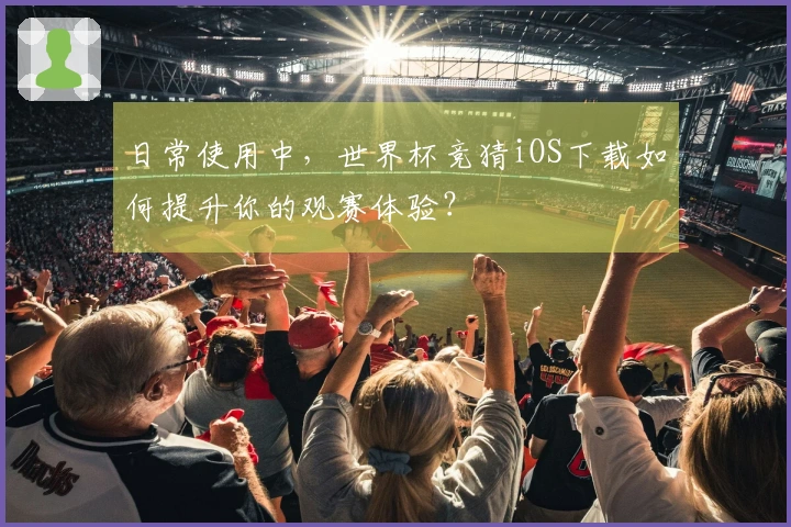 日常使用中，世界杯竞猜iOS下载如何提升你的观赛体验？
